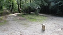 Ritterstein Nr. 098-5 Speckhenrich
